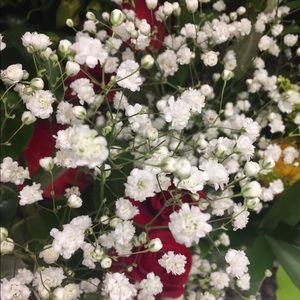 Meet your Posher, Ximena